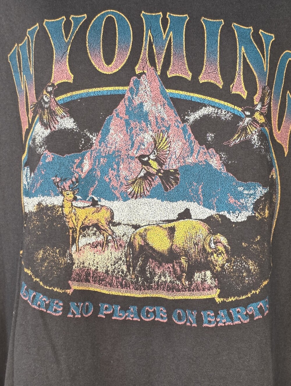 Target Wyoming Graphic Tee Short Sleeve Charcoal Gray Cotton XL - Picture 4 of 6